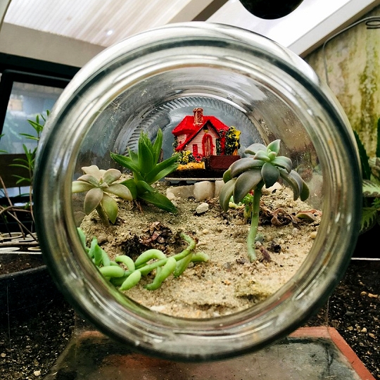 Poživljajoč glamping